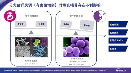 腸-乳腺軸研究新進(jìn)展與健康產(chǎn)業(yè)應(yīng)用前景